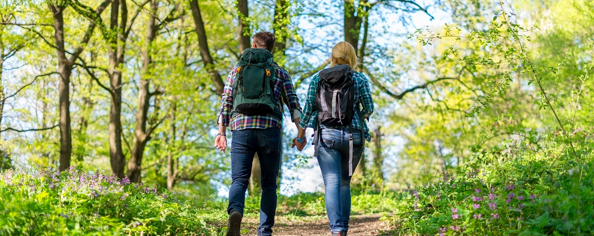 What are the family entertainment