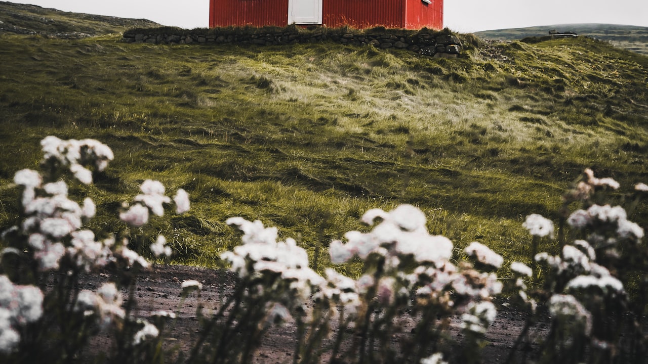 Nexia for Home Security